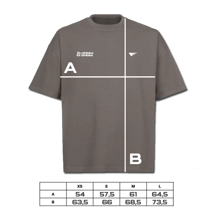 CAMISETA WORKING IN SILENCE - GRIS
